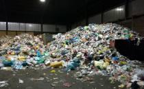 Deutschland exportiert immer weniger Plastikmüll ins Ausland